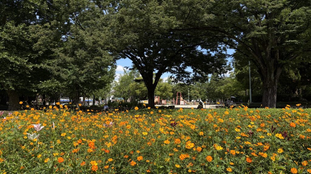 6月の千種公園