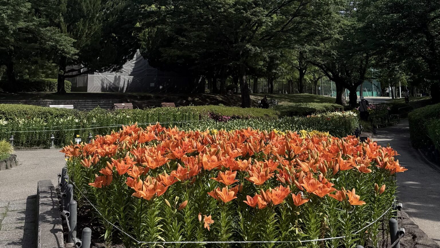 千種公園