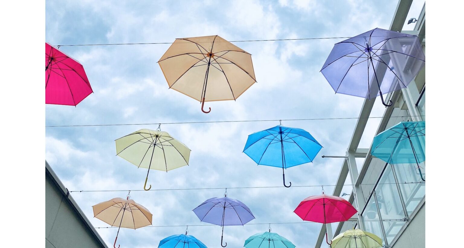 梅雨シーズン