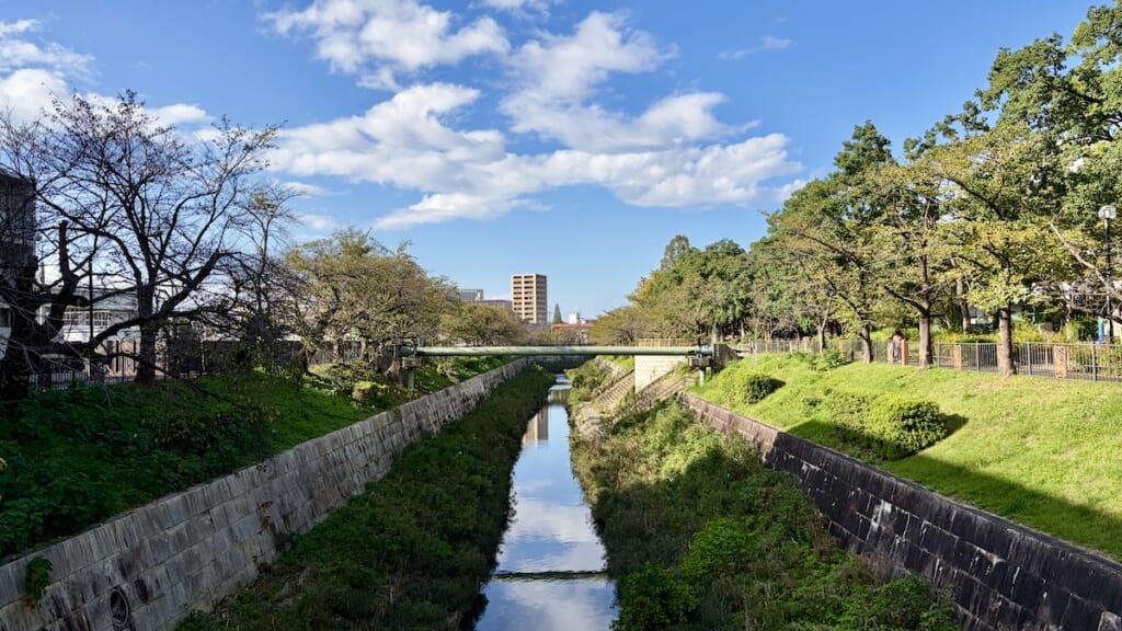 秋の山崎川
