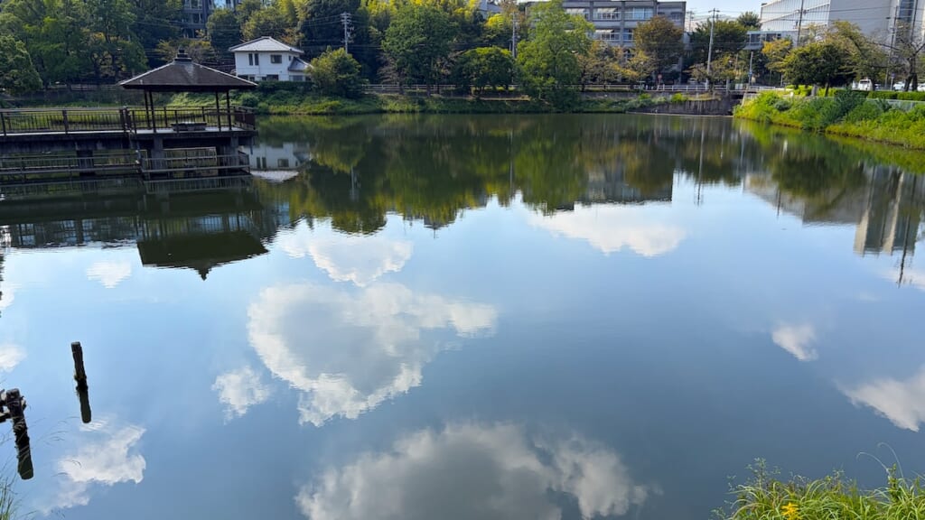 圦中公園の池